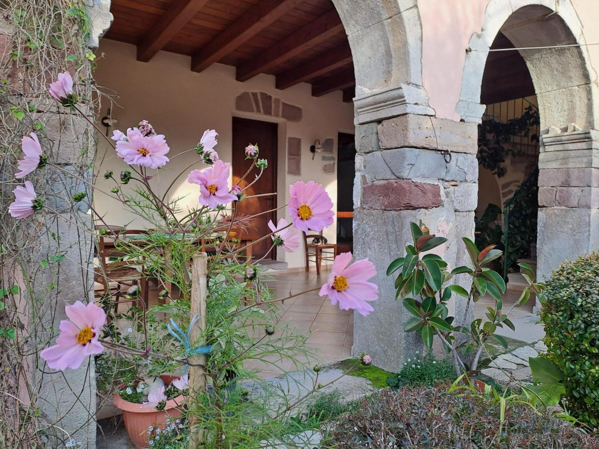 B&B S'Omu Antiga Nureci Exterior foto